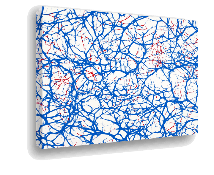 Brainwave Network: Blue and Red Neural Pattern