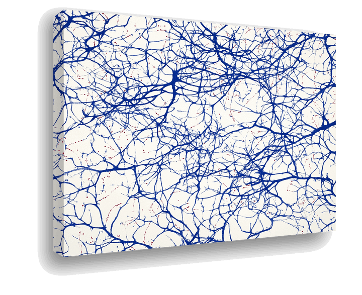 Neural Connection: Blue and Red on White