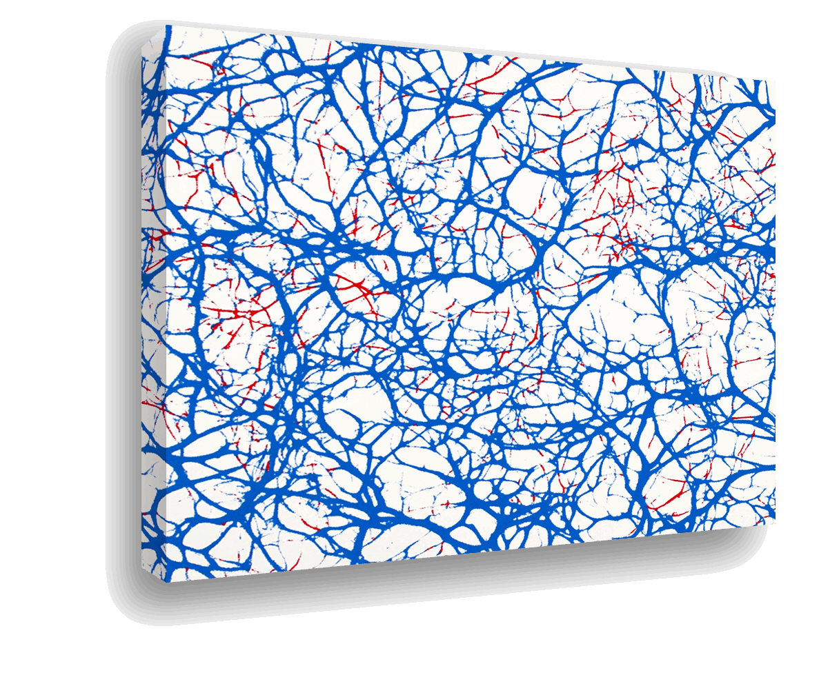 Brainwave Network: Blue and Red Neural Pattern