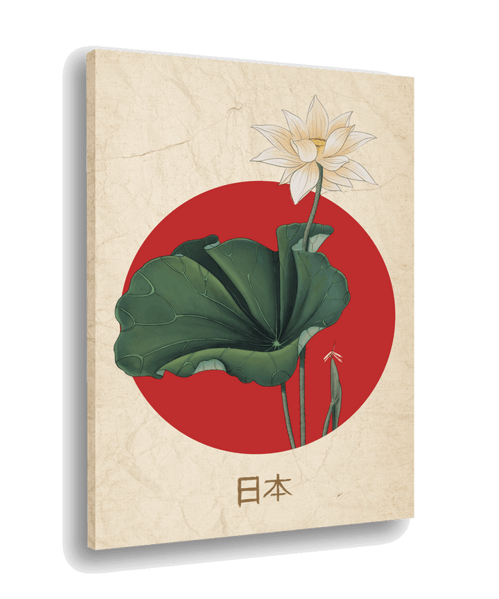Dawning Lotus