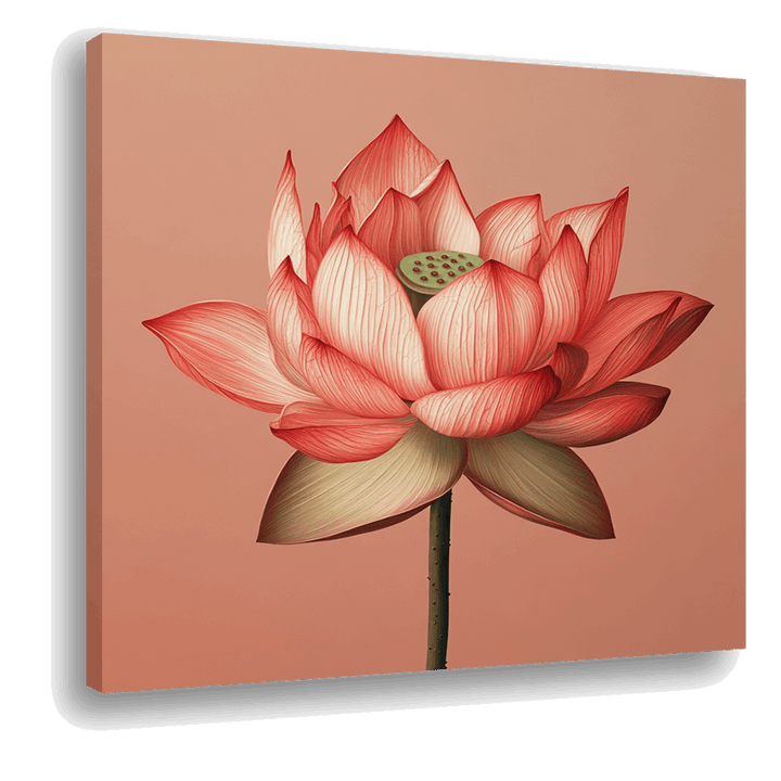 Blossoming Elegance: Lotus in Full Splendor